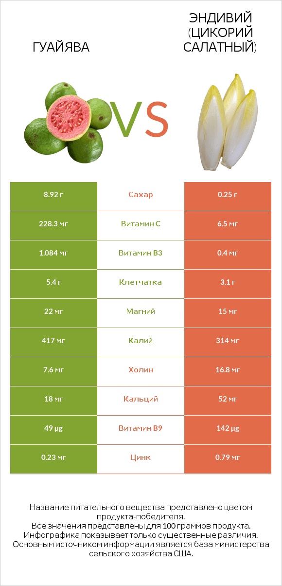 Гуайява vs Эндивий (Цикорий салатный)  infographic