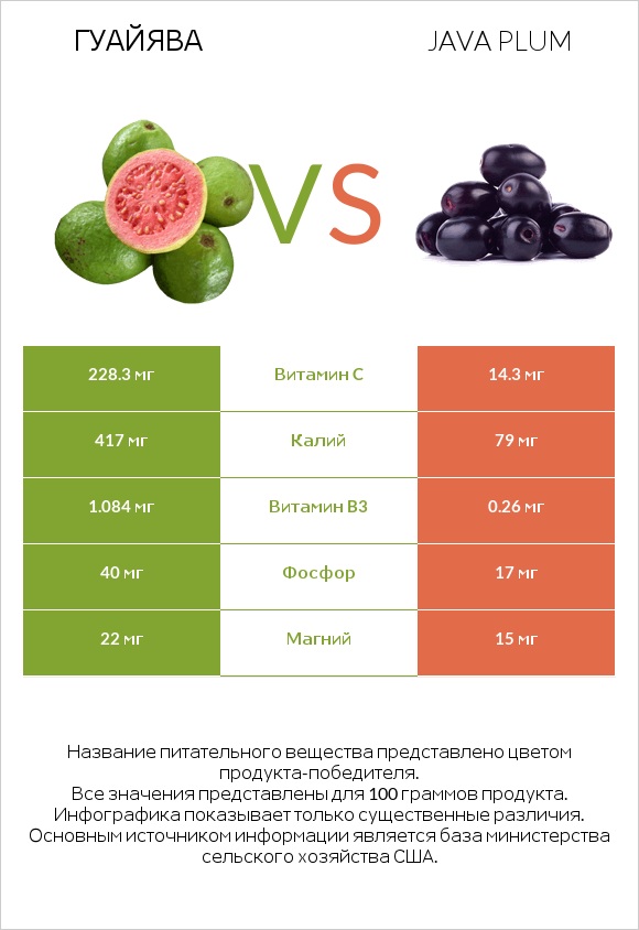Гуайява vs Java plum infographic