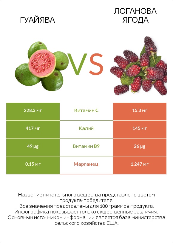 Гуайява vs Логанова ягода infographic