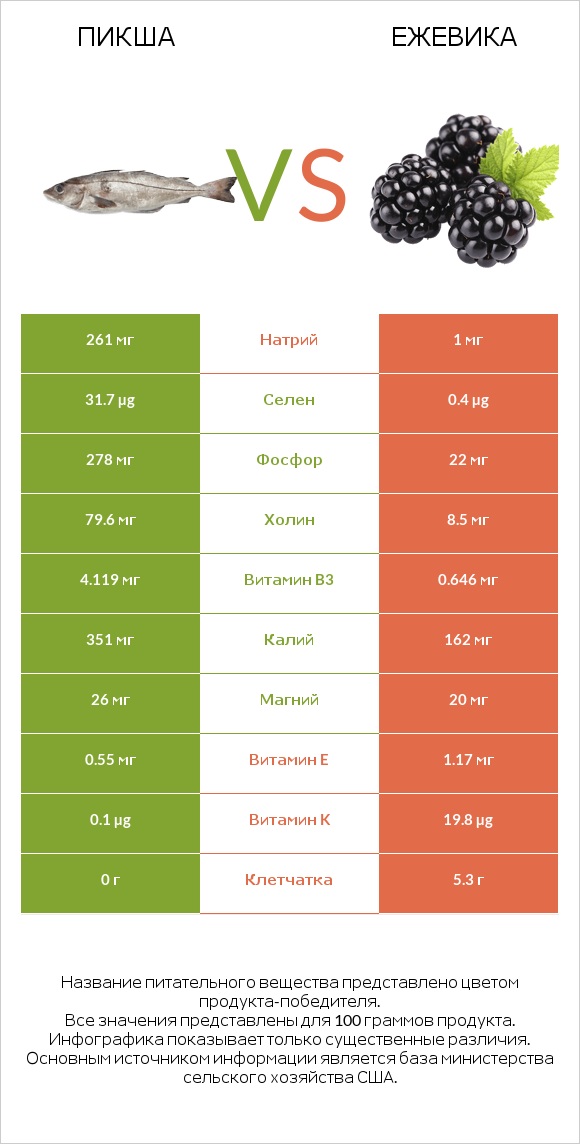 Пикша vs Ежевика infographic