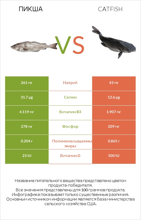 Пикша vs Catfish infographic