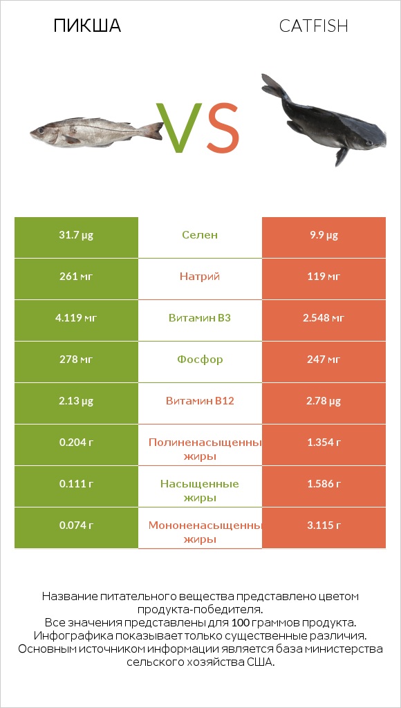 Пикша vs Catfish infographic