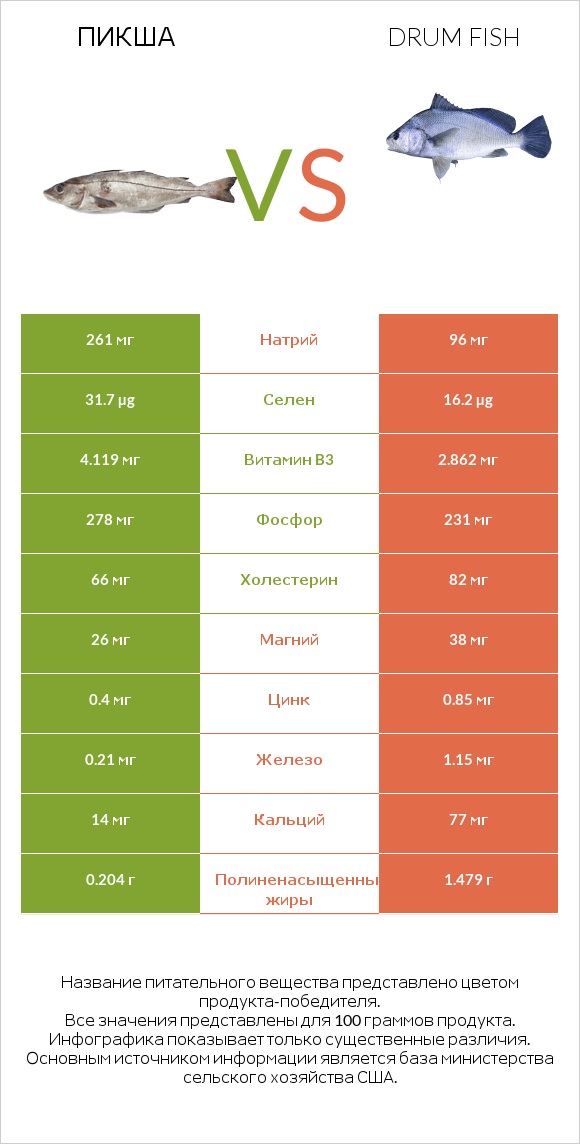 Пикша vs Drum fish infographic