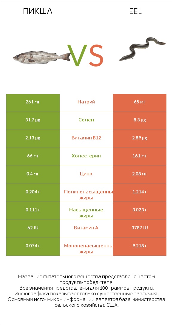 Пикша vs Eel infographic