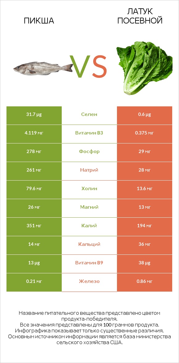 Пикша vs Латук посевной infographic