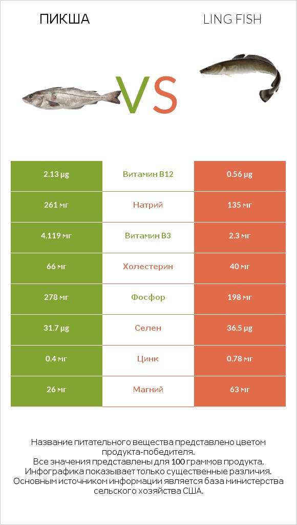 Пикша vs Ling fish infographic