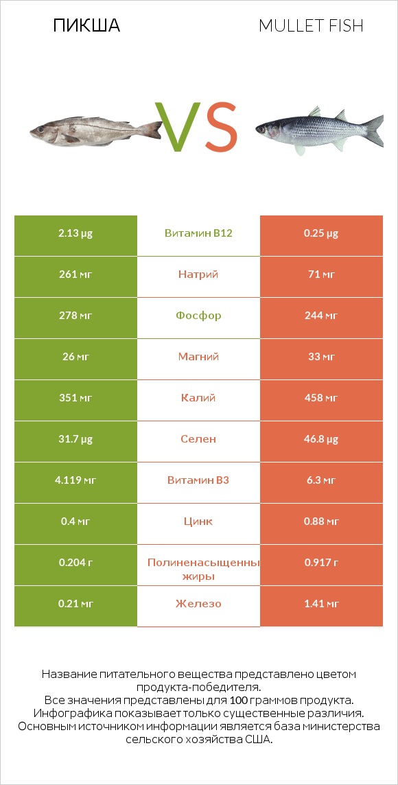 Пикша vs Mullet fish infographic