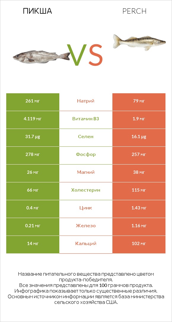 Пикша vs Perch infographic