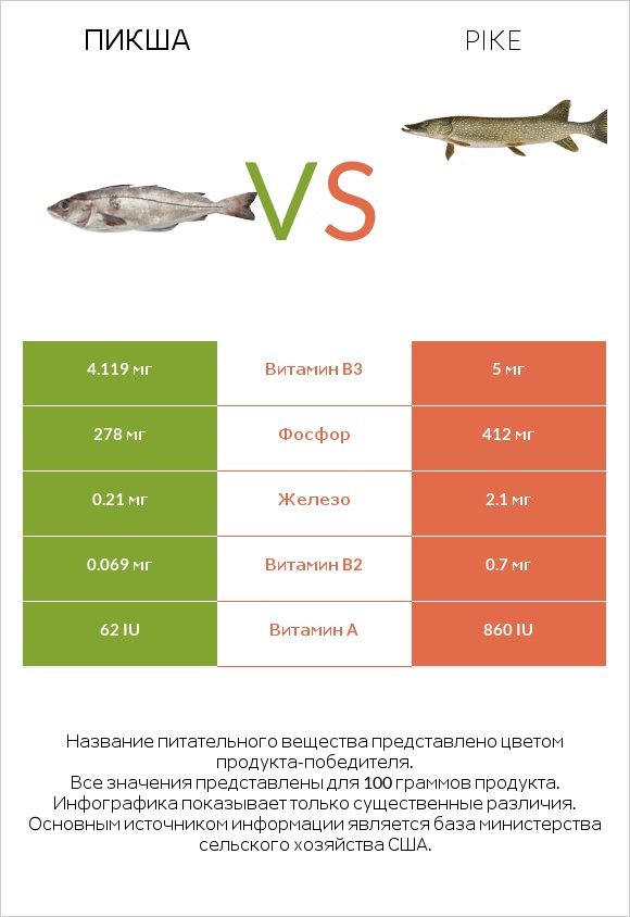 Пикша vs Pike infographic