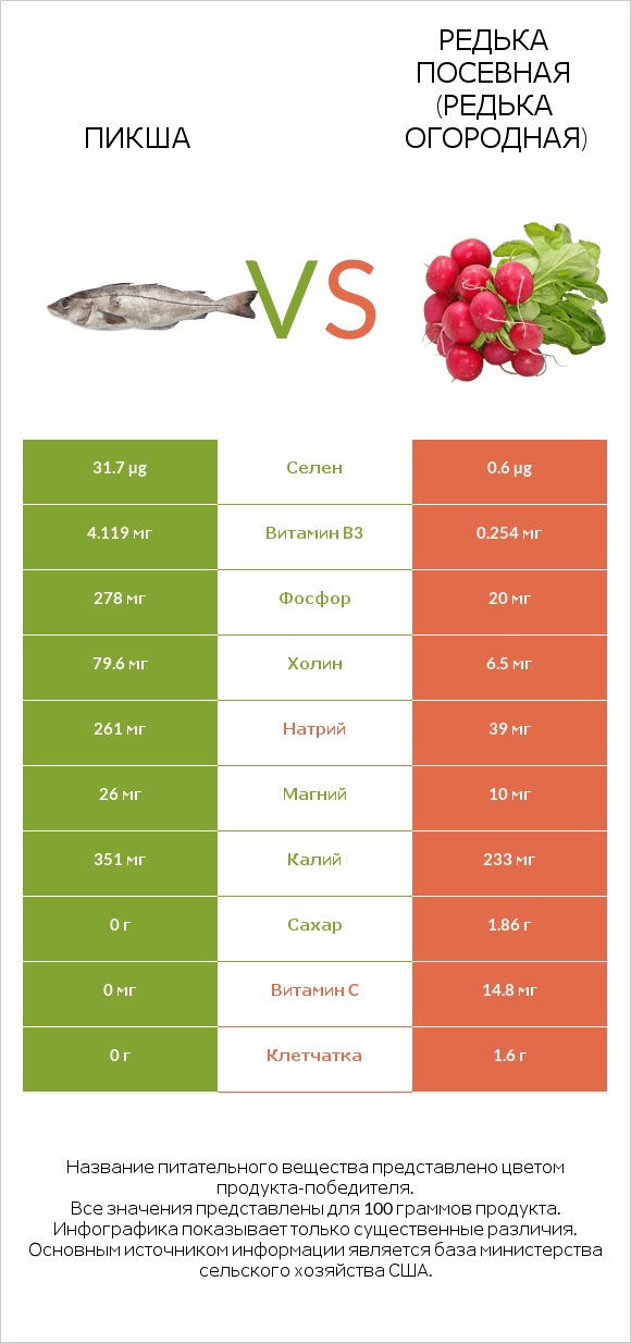 Пикша vs Редька посевная (Редька огородная) infographic