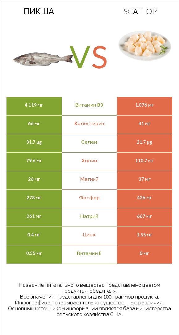 Пикша vs Scallop infographic