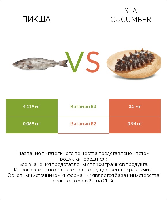 Пикша vs Sea cucumber infographic