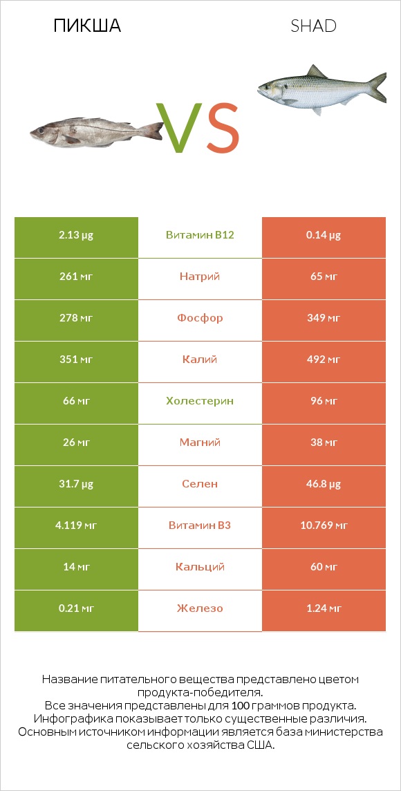 Пикша vs Shad infographic