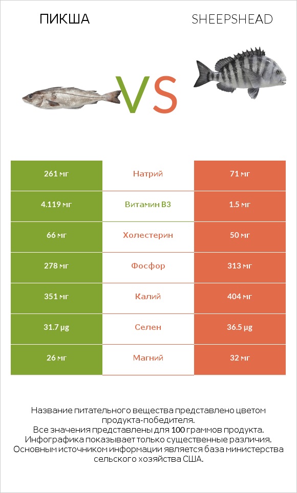 Пикша vs Sheepshead infographic