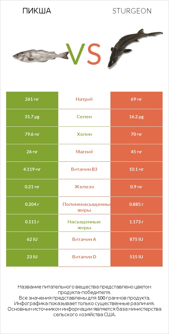 Пикша vs Sturgeon infographic