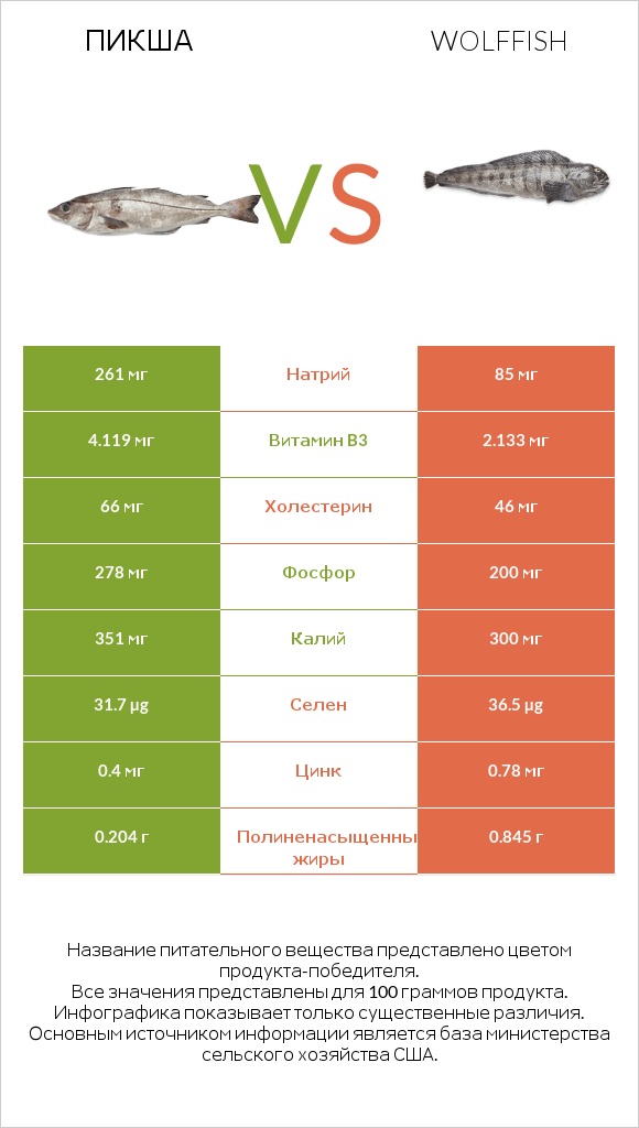 Пикша vs Wolffish infographic