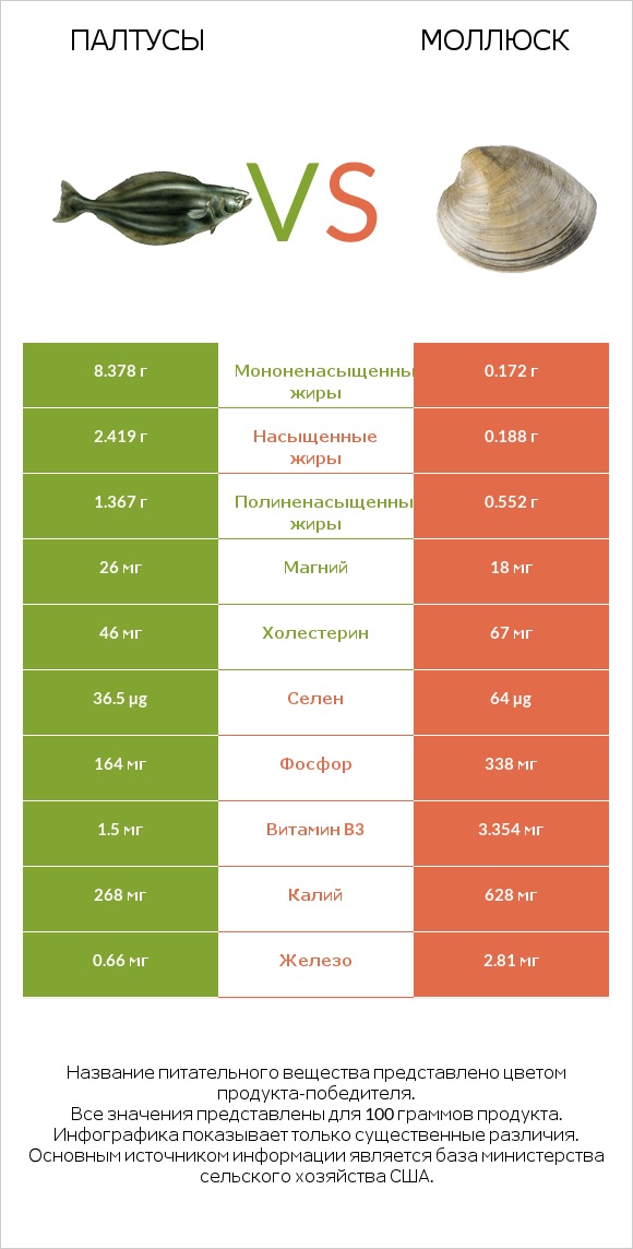 Палтусы vs Моллюск infographic