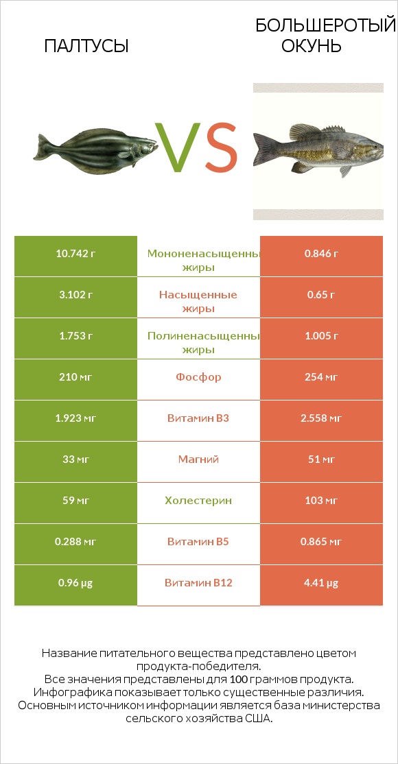 Палтусы vs Большеротый окунь infographic