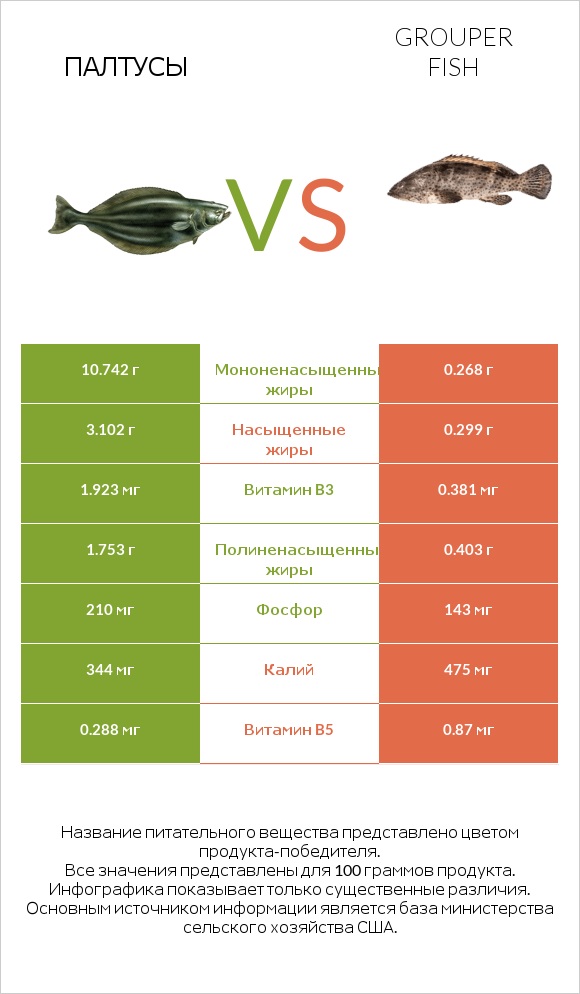 Палтусы vs Grouper fish infographic