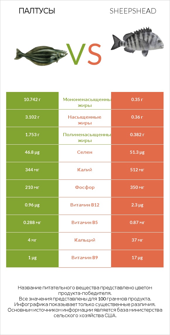 Палтусы vs Sheepshead infographic