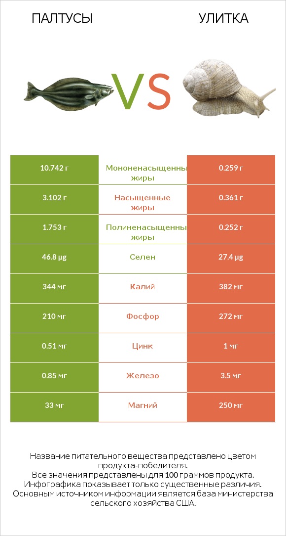 Палтусы vs Улитка infographic