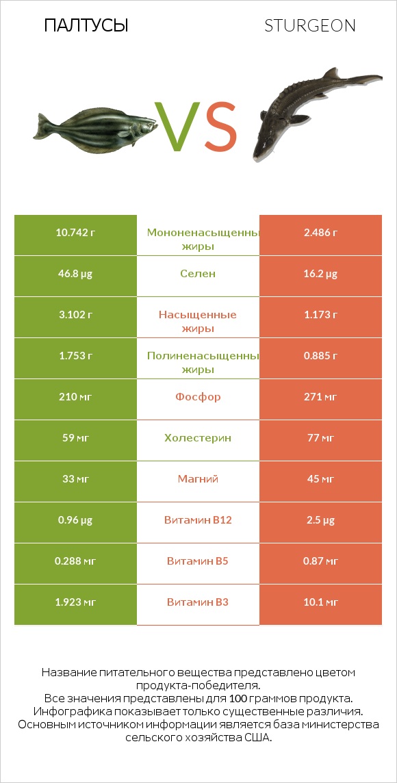 Палтусы vs Sturgeon infographic