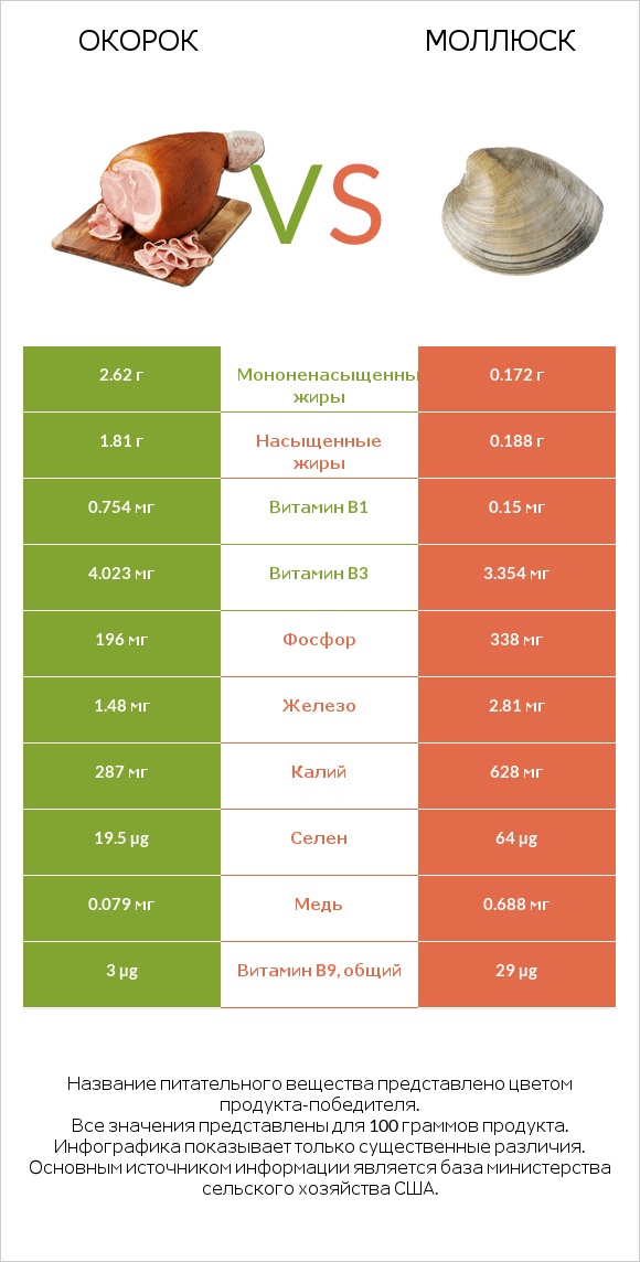 Окорок vs Моллюск infographic