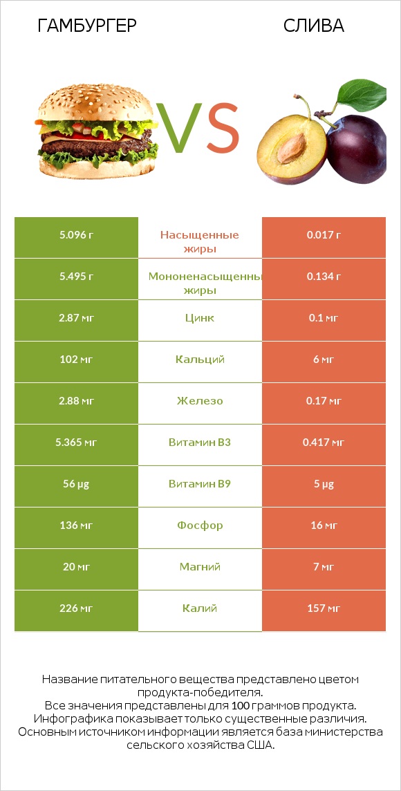 Гамбургер vs Слива infographic