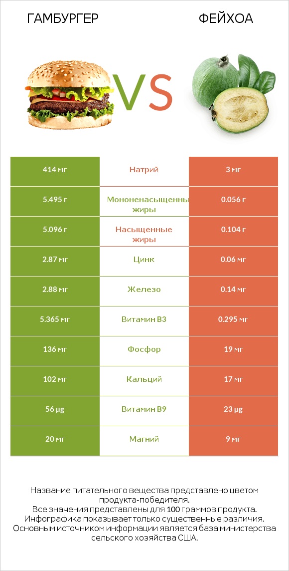 Гамбургер vs Фейхоа infographic