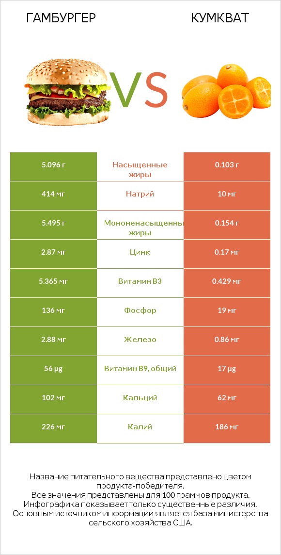 Гамбургер vs Кумкват infographic