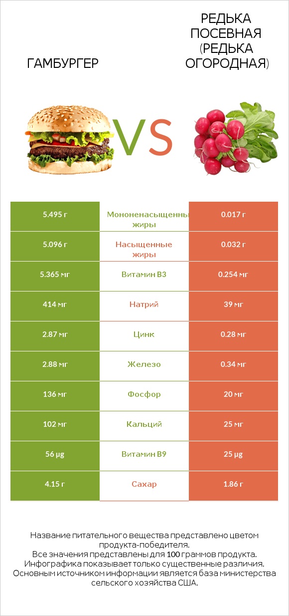 Гамбургер vs Редька посевная (Редька огородная) infographic