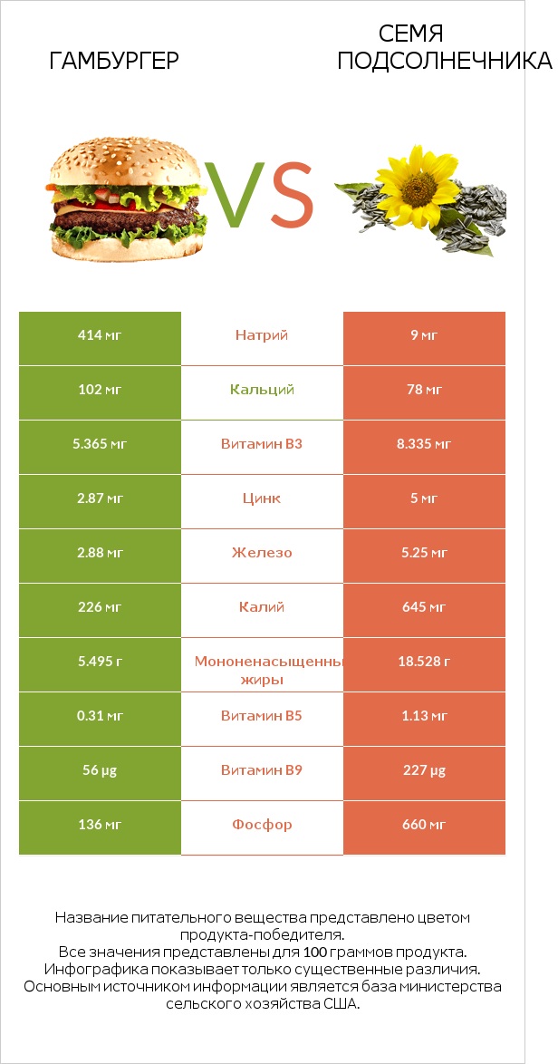 Гамбургер vs Семя подсолнечника infographic