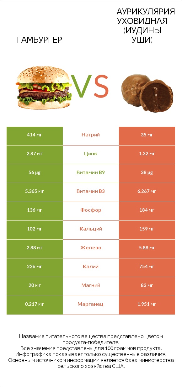 Гамбургер vs Аурикулярия уховидная (Иудины уши) infographic