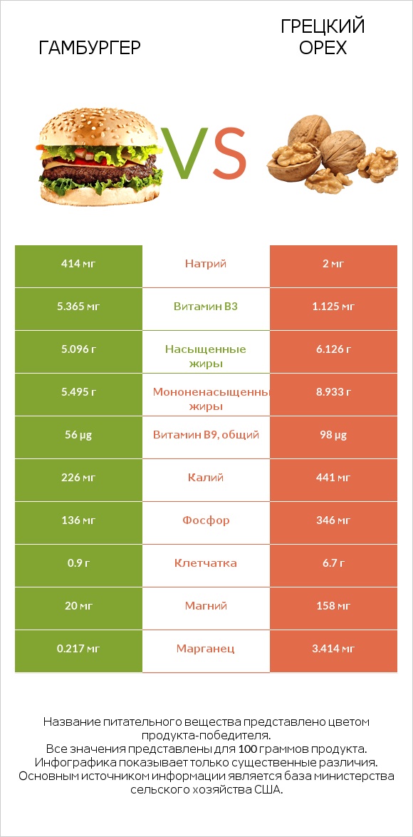 Гамбургер vs Грецкий орех infographic