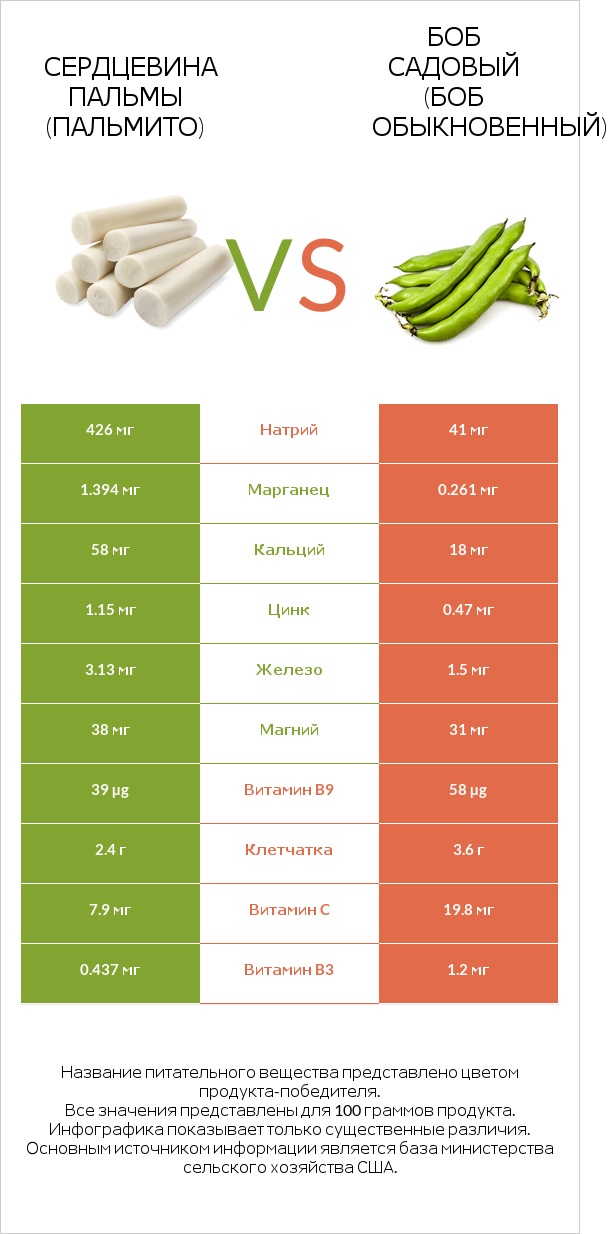 Сердцевина пальмы (пальмито) vs Боб садовый (Боб обыкновенный) infographic