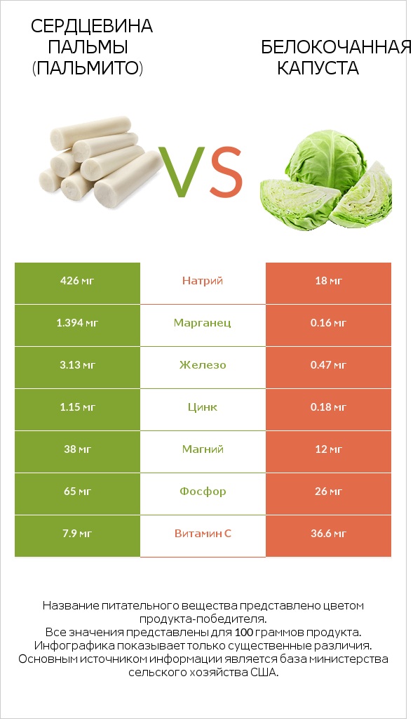 Сердцевина пальмы (пальмито) vs Белокочанная капуста infographic