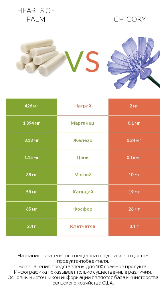 Hearts of palm vs Chicory infographic
