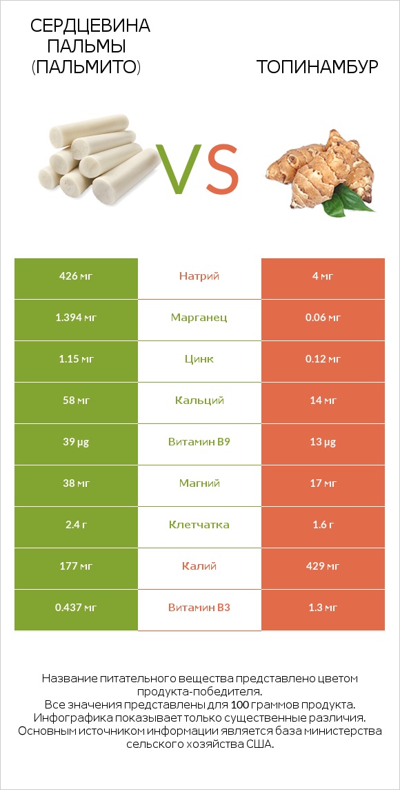 Сердцевина пальмы (пальмито) vs Топинамбур infographic