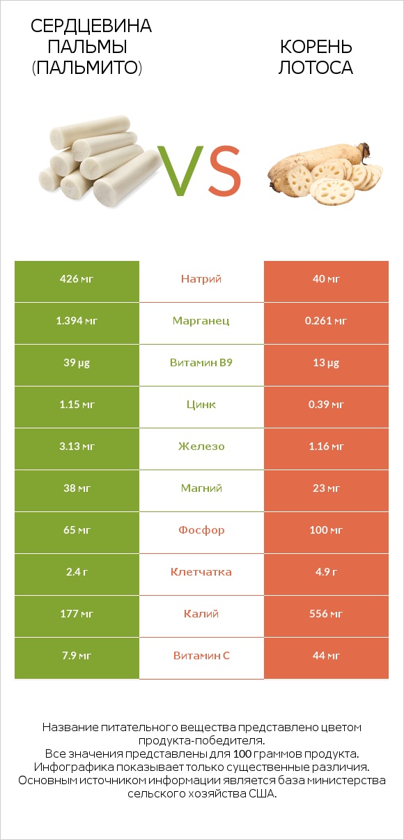 Сердцевина пальмы (пальмито) vs Корень лотоса infographic