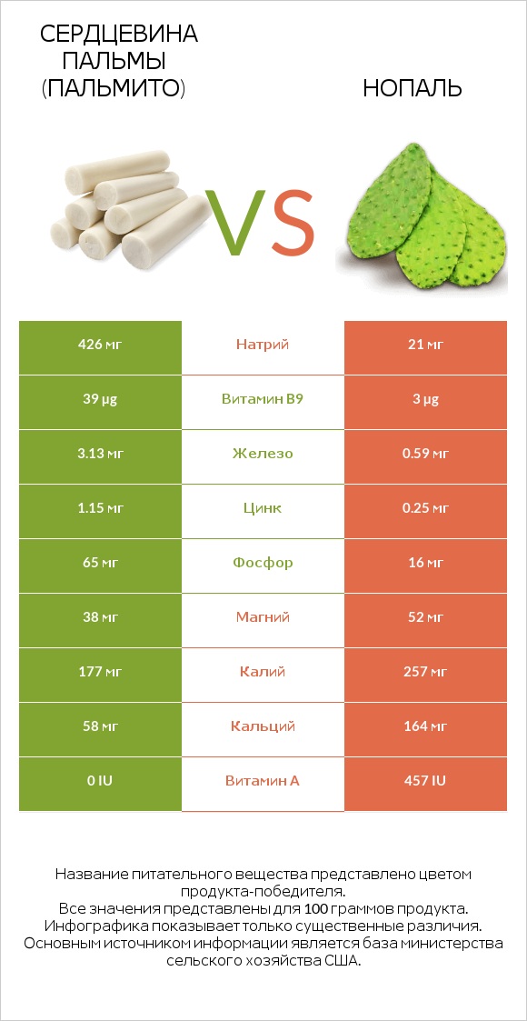 Сердцевина пальмы (пальмито) vs Нопаль infographic