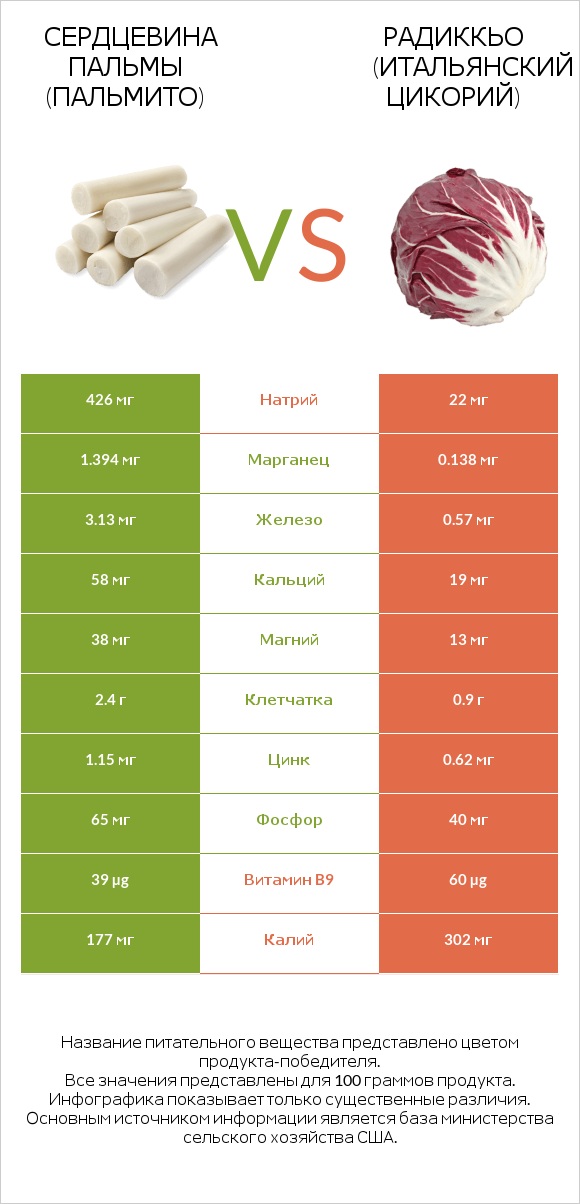 Hearts of palm vs Radicchio infographic