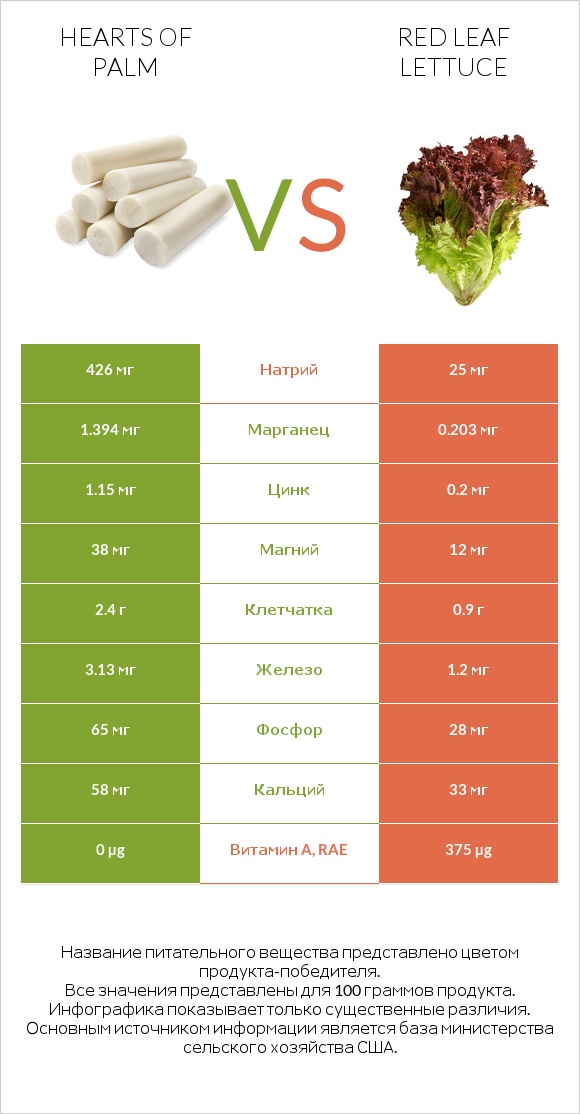 Hearts of palm vs Red leaf lettuce infographic