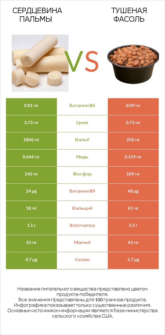 Сердцевина пальмы vs Тушеная фасоль infographic