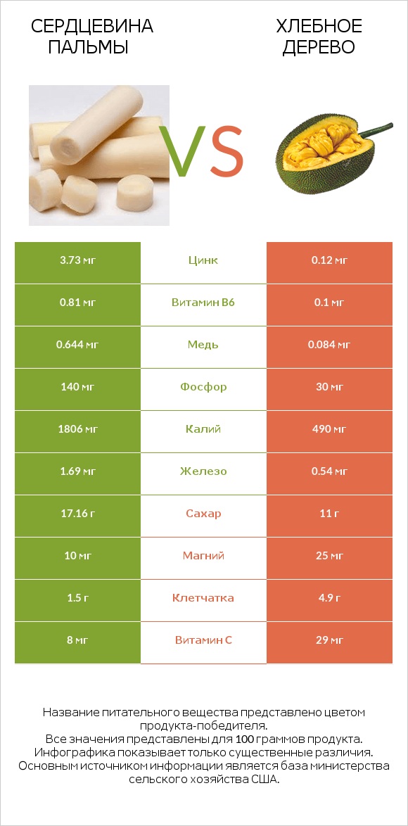 Сердцевина пальмы vs Хлебное дерево infographic