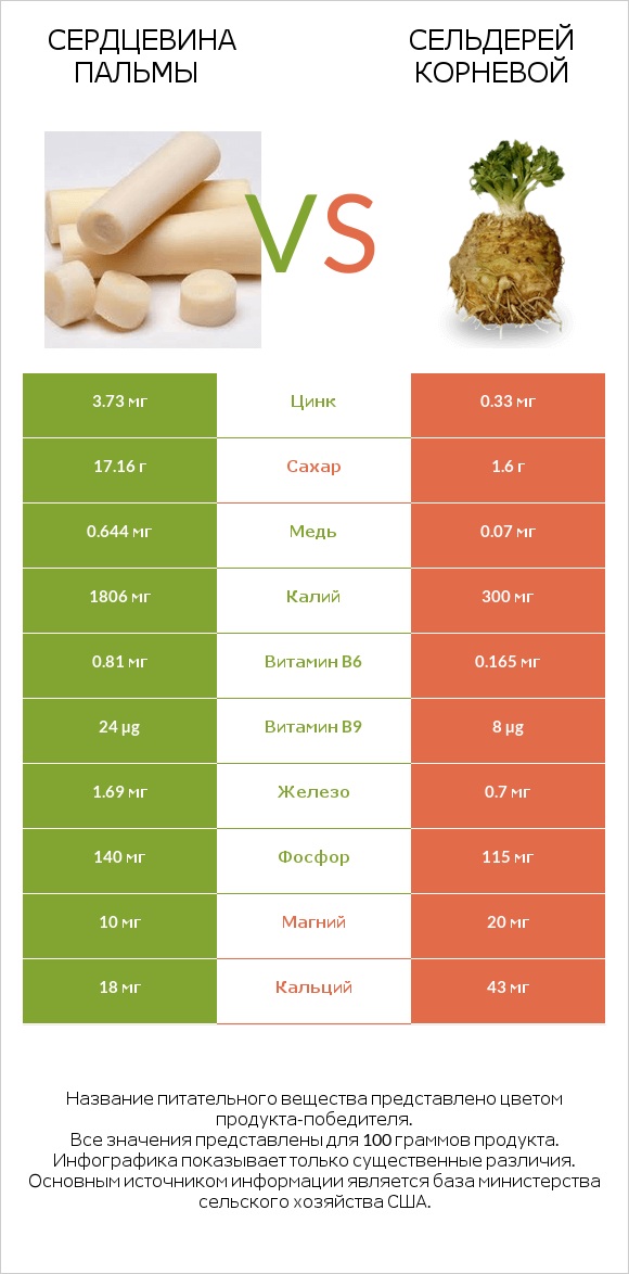 Сердцевина пальмы vs Сельдерей корневой infographic