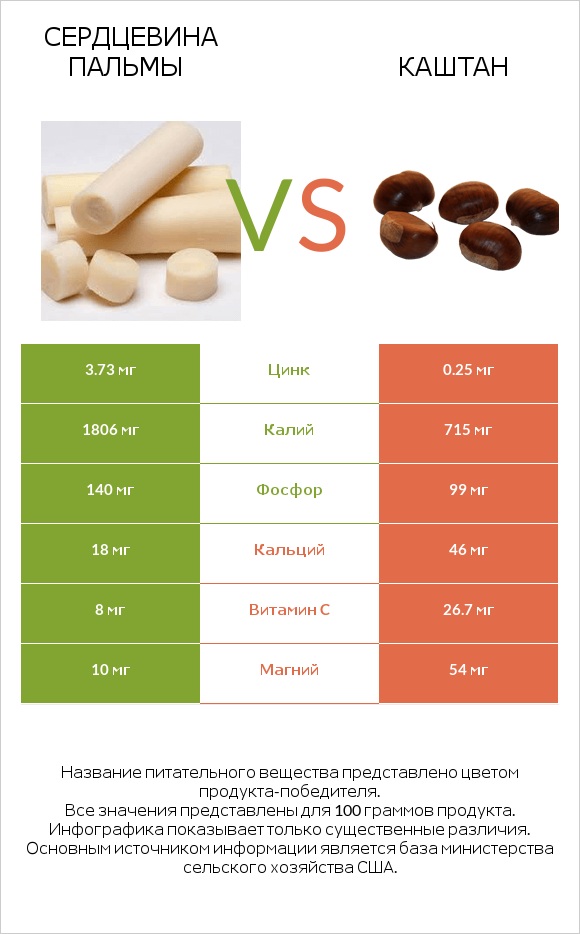 Сердцевина пальмы vs Каштан infographic