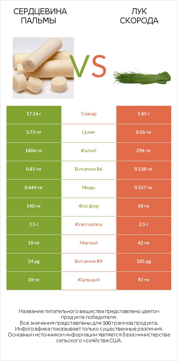 Сердцевина пальмы vs Лук скорода infographic