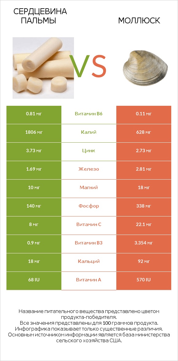 Сердцевина пальмы vs Моллюск infographic