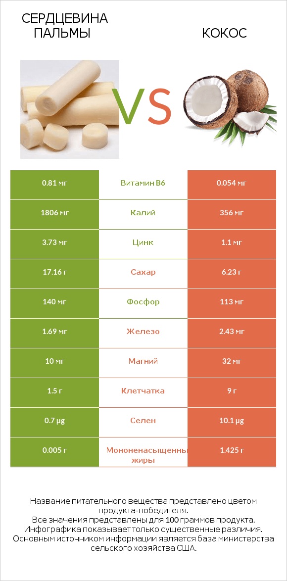 Сердцевина пальмы vs Кокос infographic