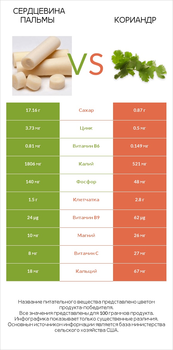 Сердцевина пальмы vs Кориандр infographic